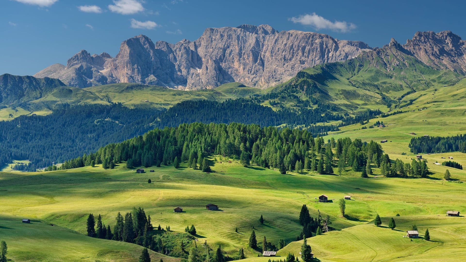 The wide green meadow of Alpe di Siusi with jagged peaks behind