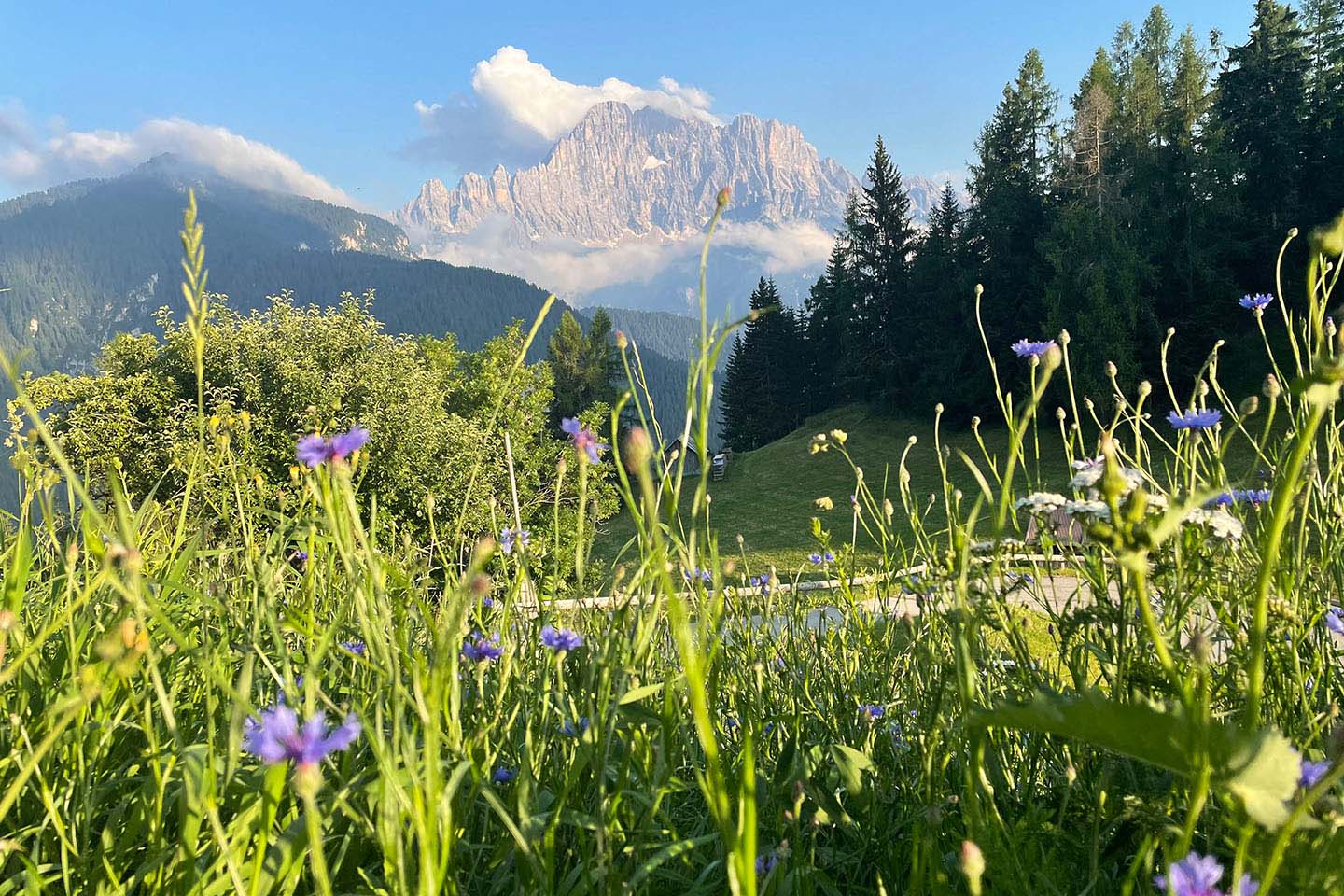 The meadow below the house, with Civetta behind