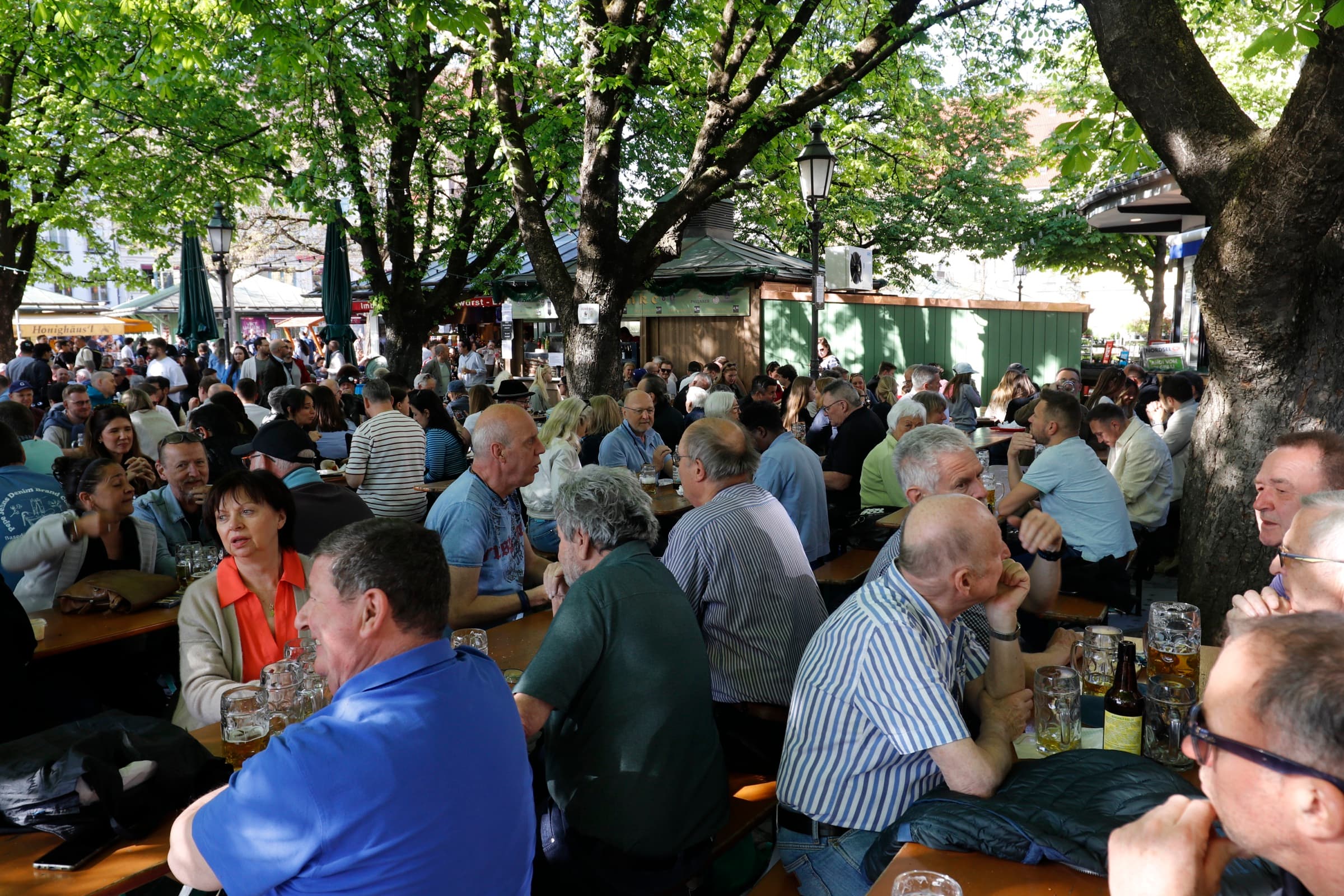 A packed Viktualienmarkt beer garden under a canopy of chestnut trees
